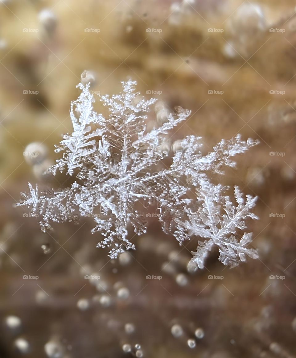 Snowflake close up