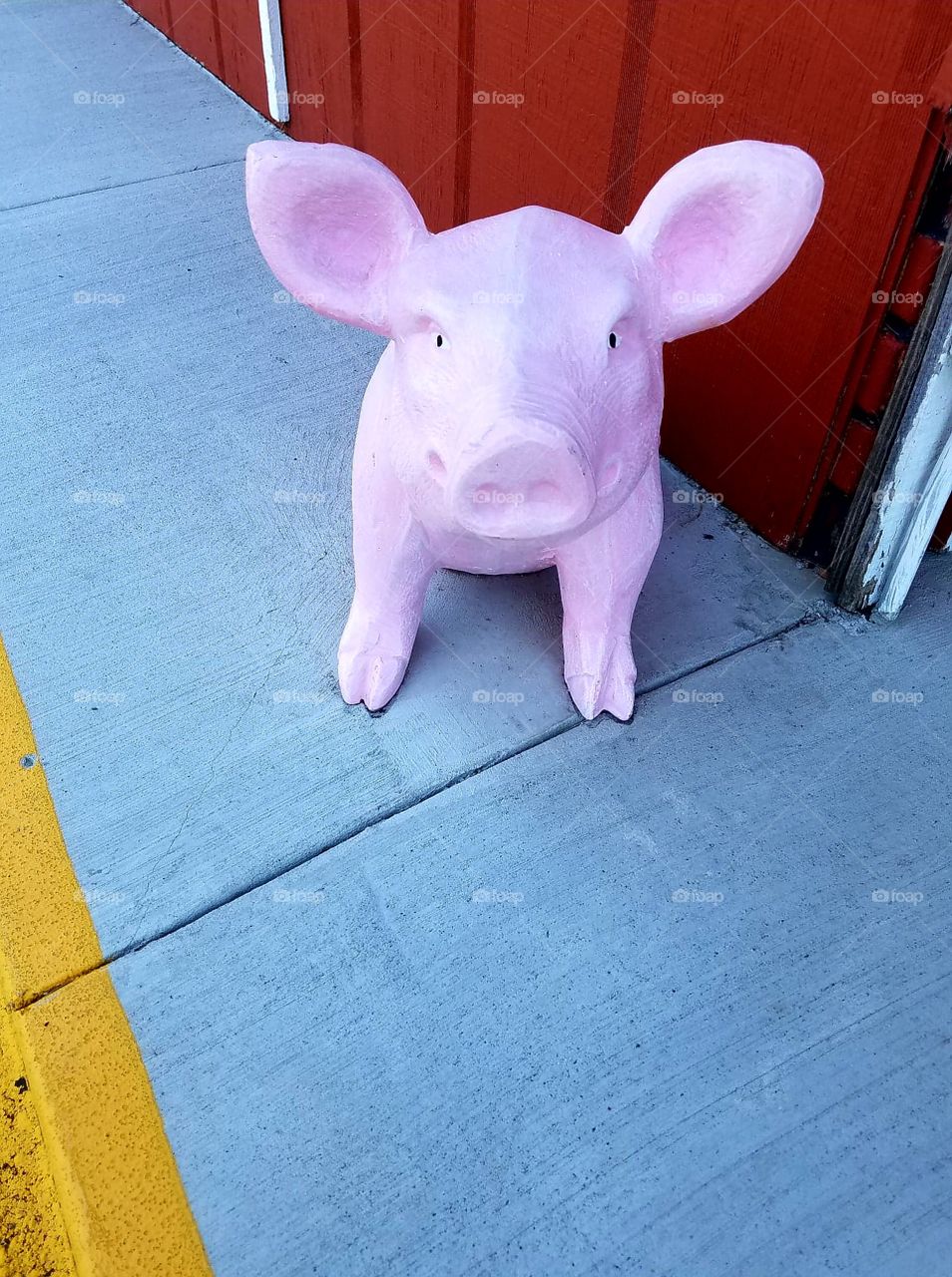 pink pig