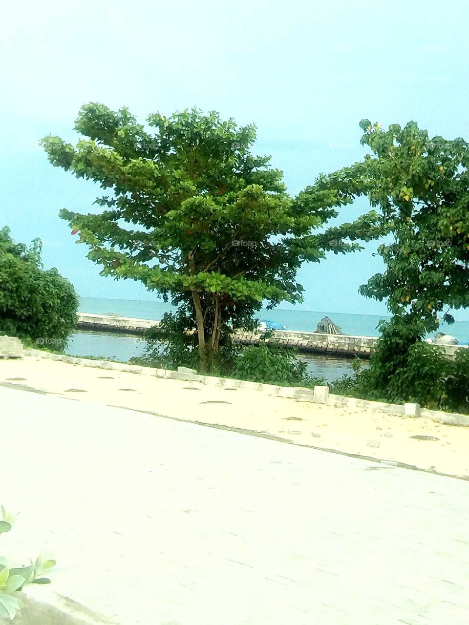 the beauty of nauture is so beautiful to look at and you will find new friends in nauture.