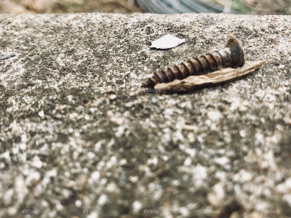 Close up picture of an old screw. 