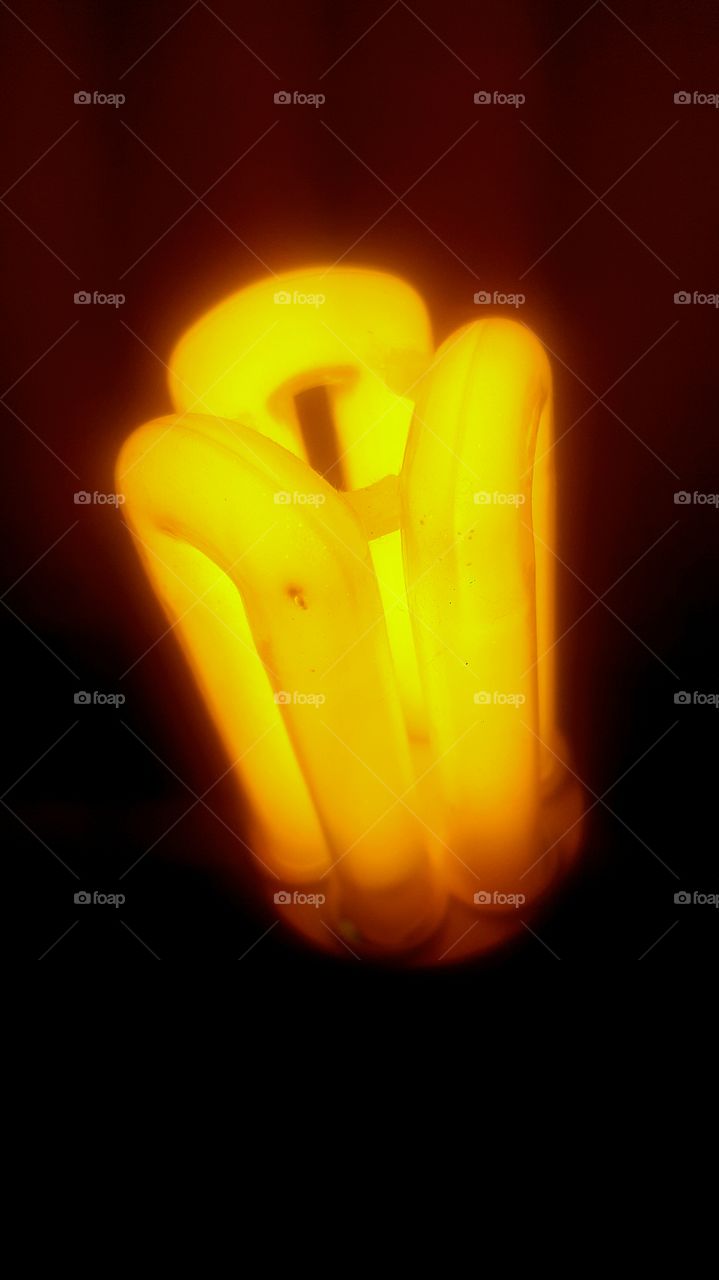 fluorescent light globe