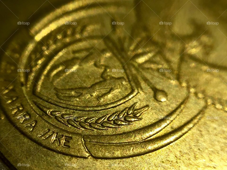 South African five rand coin  close up