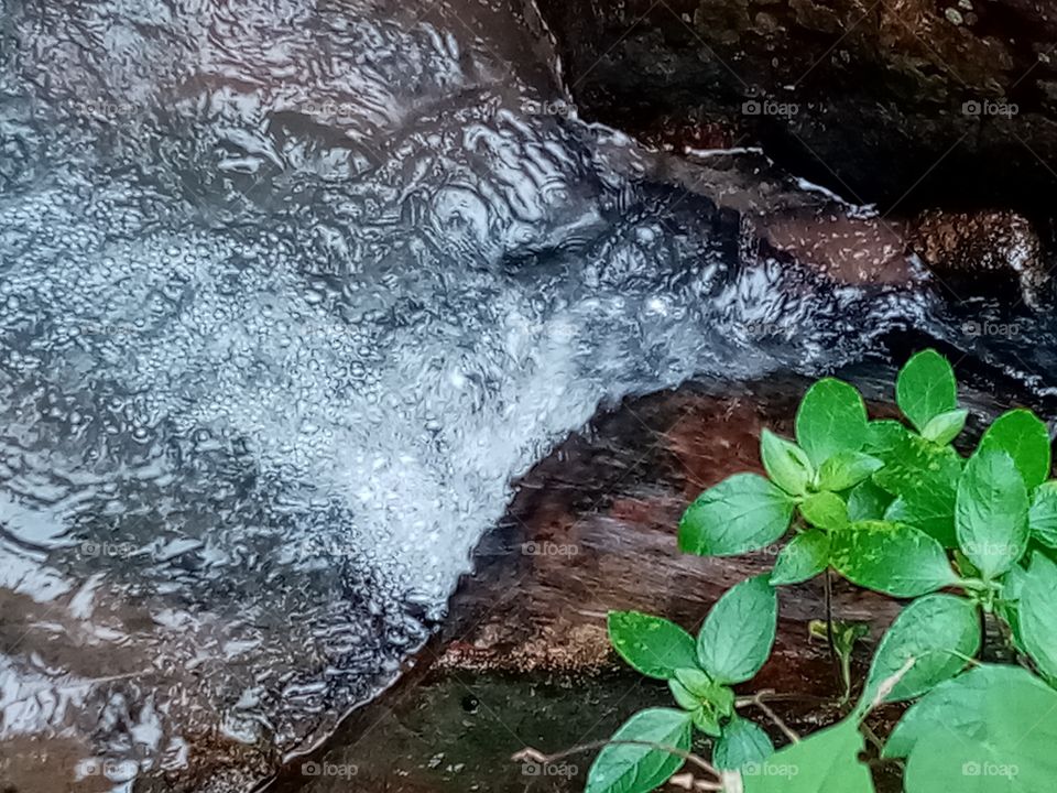 Fresh water in a natural stream.