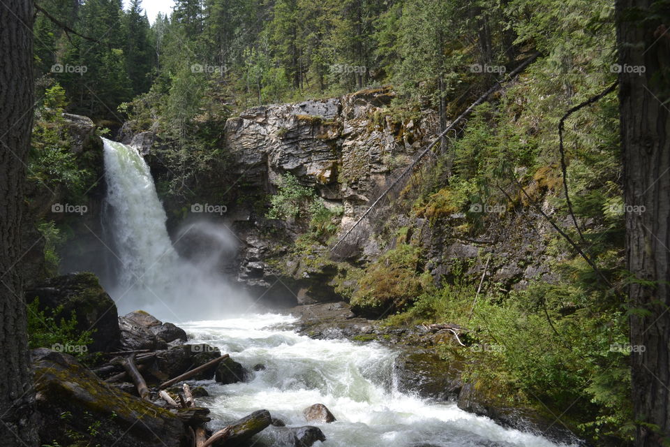 Water fall and rapids in Canadian Rocky Mountains