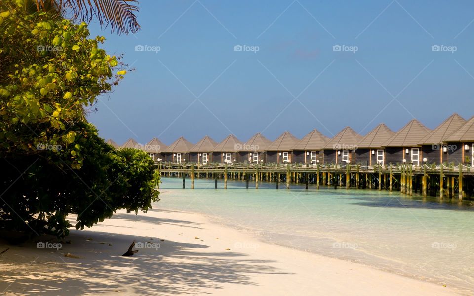 Bungalows in a resort in the Maldives. 