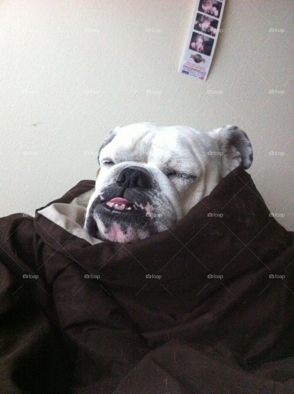 It's not time to get up yet!