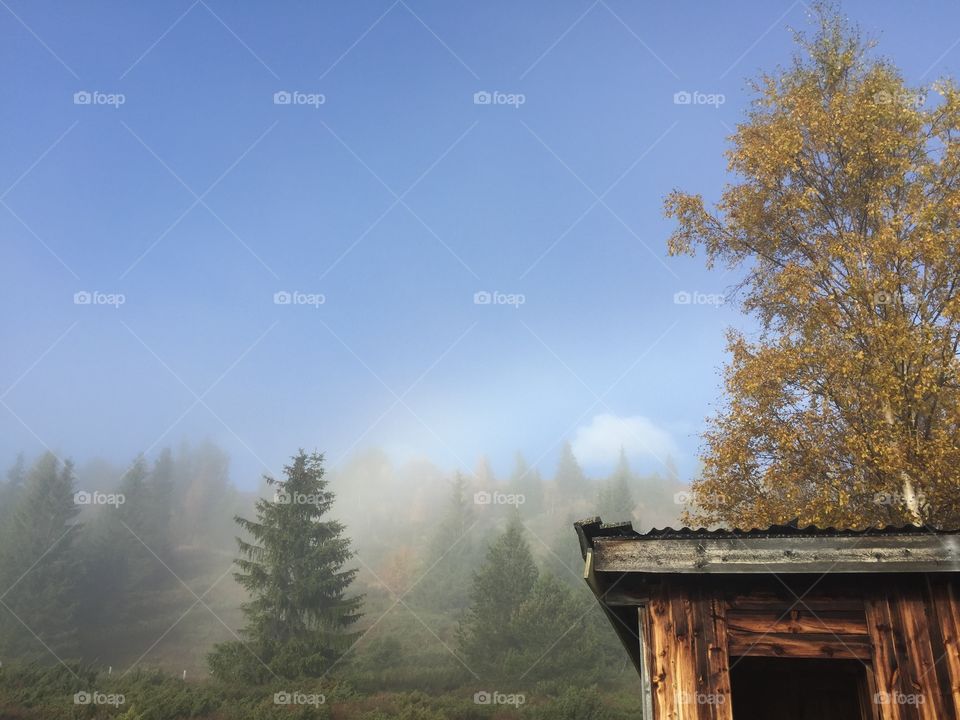 Low angle view of foggy mountains