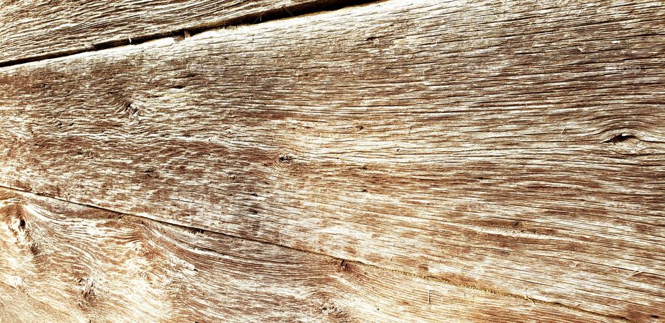 weathered wood