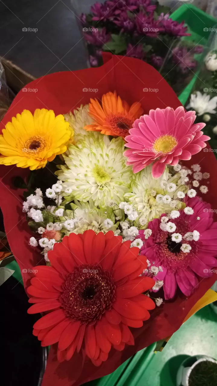 Blumen