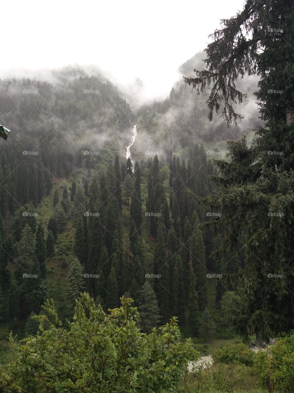 Above up views cool and fresh view fresh and clean environment beautiful amazing greenery 
📸 Muneeb bhat
