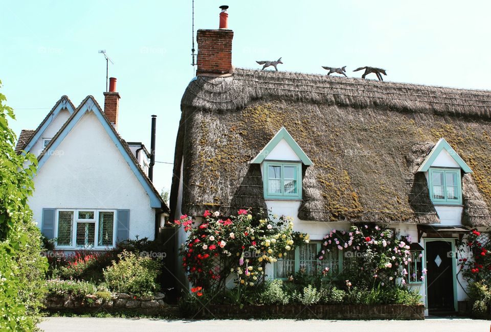 Beauty of English village 🌹
