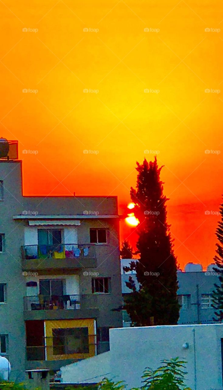 Autumn - still life - magic sunset - magnificent Cyprus Nicosia - Sunset tree 