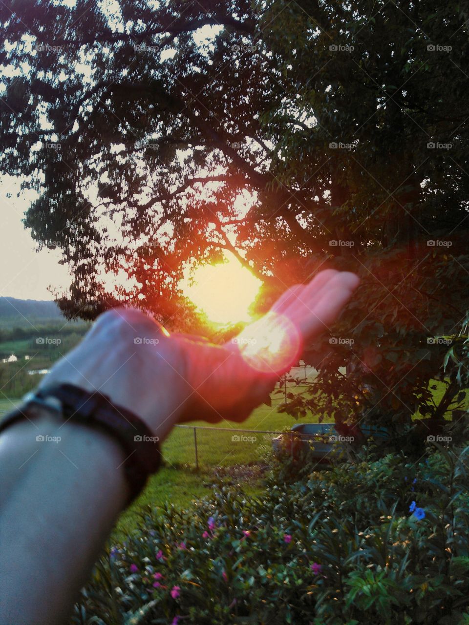 Holding the sun. Get hands on with nature