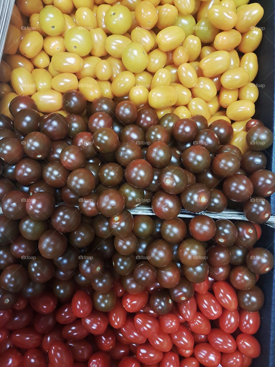 Fresh Cherry Tomatoes fruit and vegetables