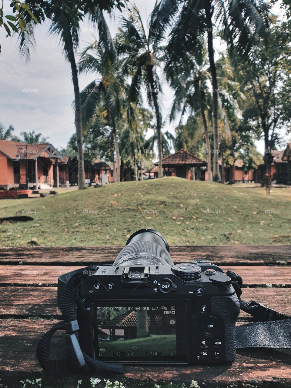 Landscape at Resort