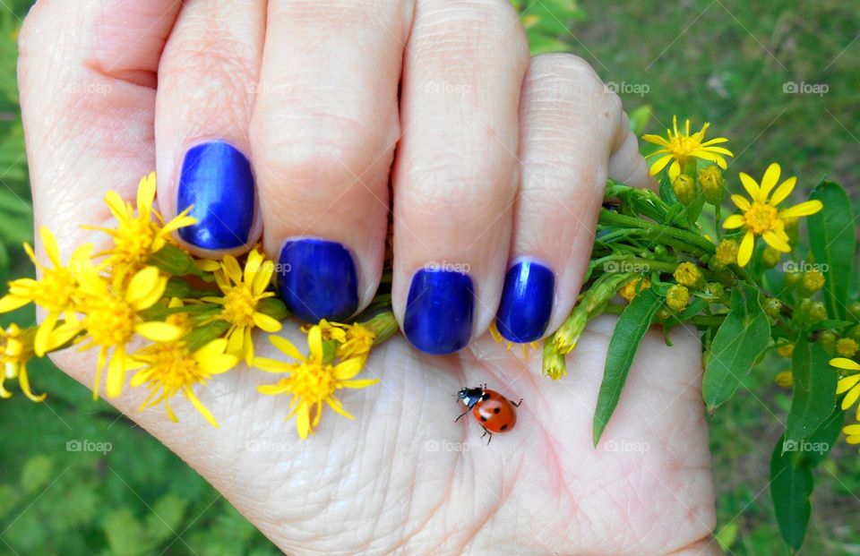 female hand manicure and ladybug 🐞