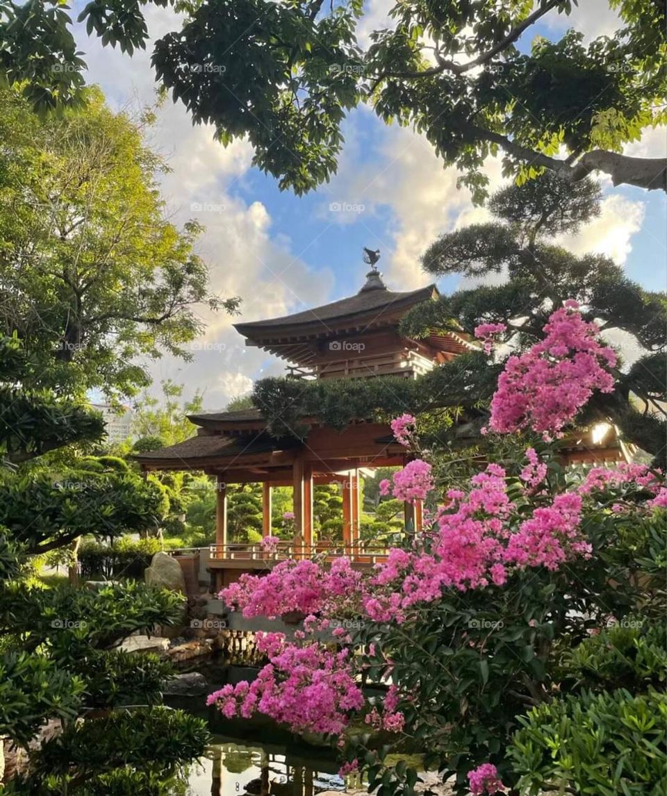 Nan Lian Garden, Hong Kong