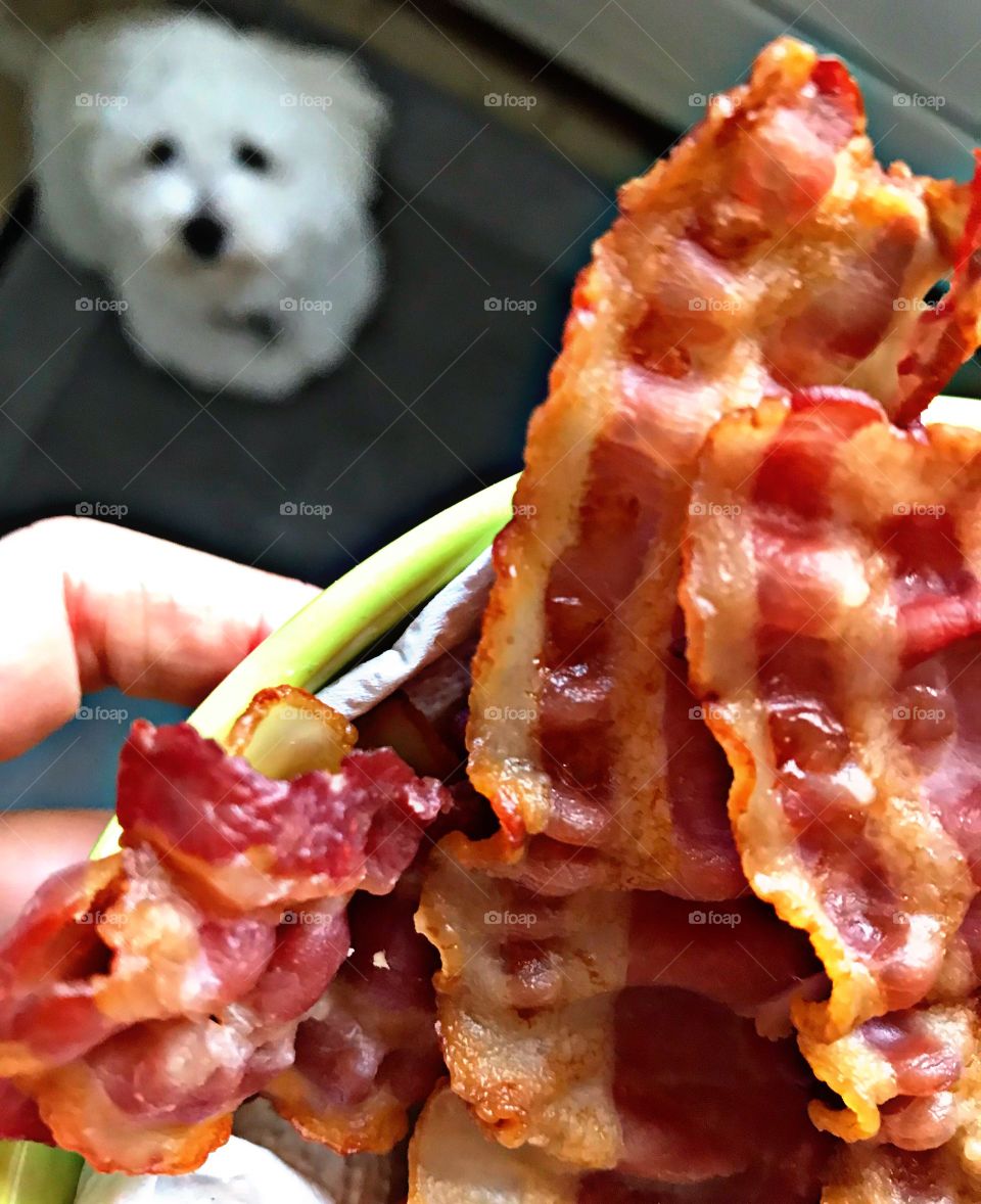 Bacon 