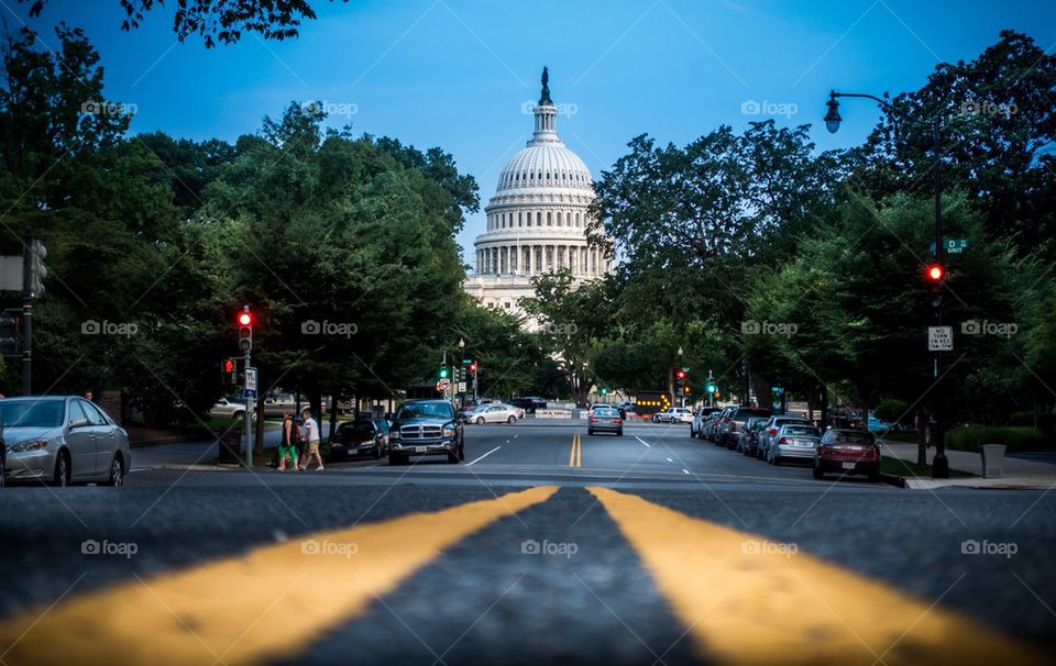 Leading lines to Congress 