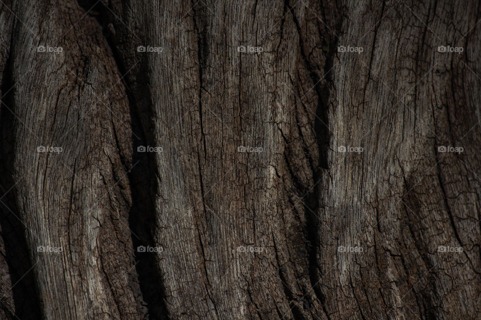 Age Old Weather Textured Wood Surface