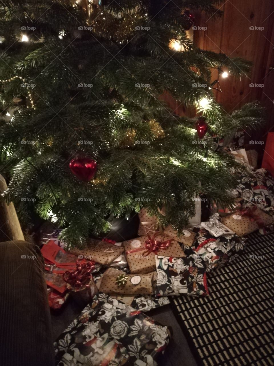 The multicolored gifts with the ribbons are under and around the Christmas tree. The lights are shining and hanging with many kind of ornaments on the fresh branches.