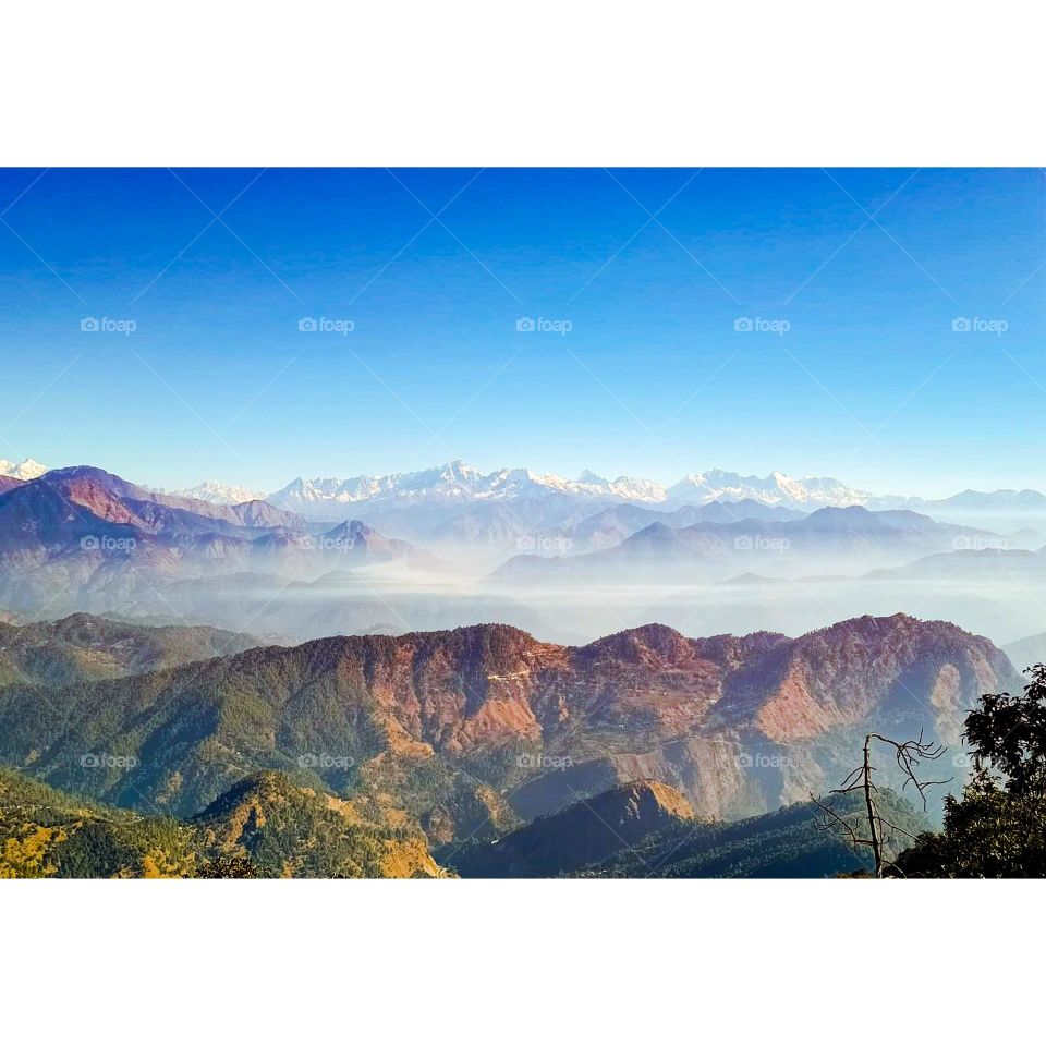 Editors' Choice: Photo of the week