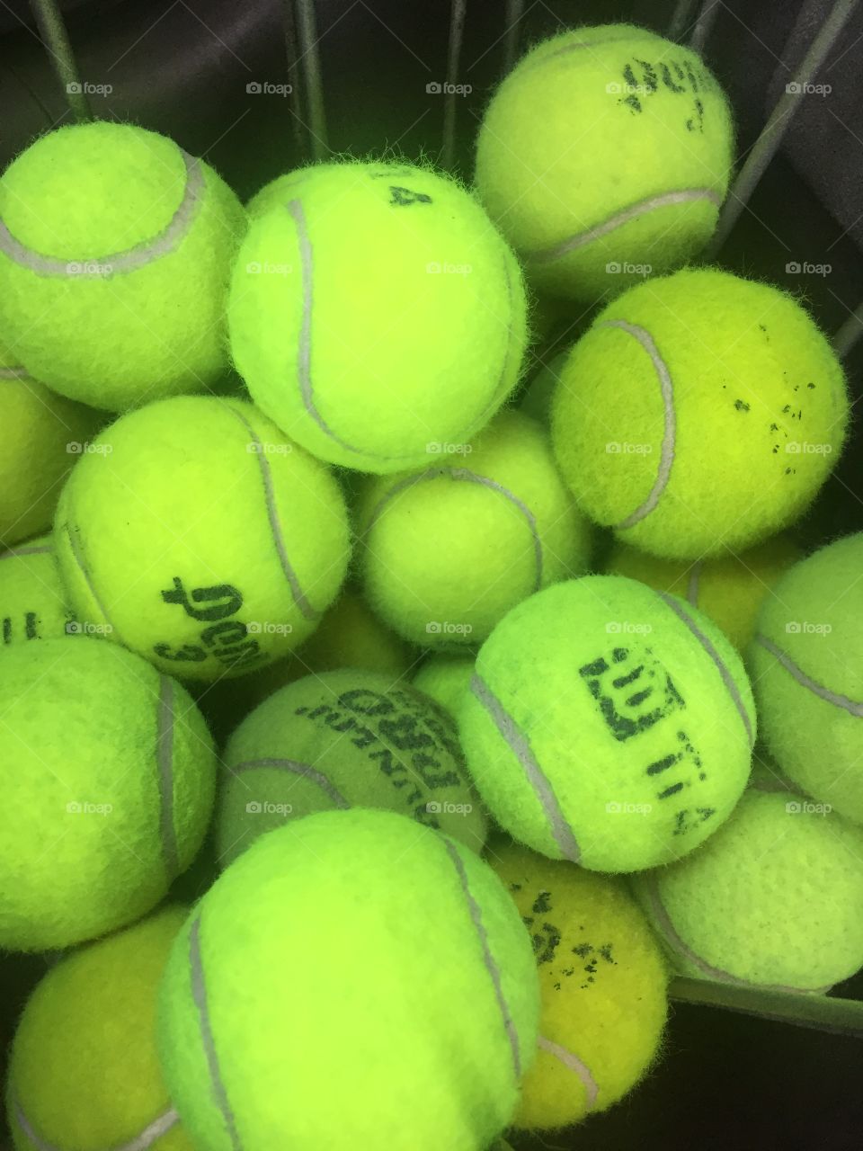 Tennis balls 🎾