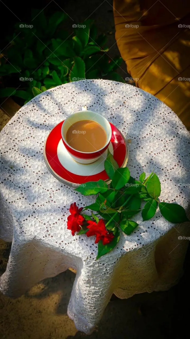 Tea Cup