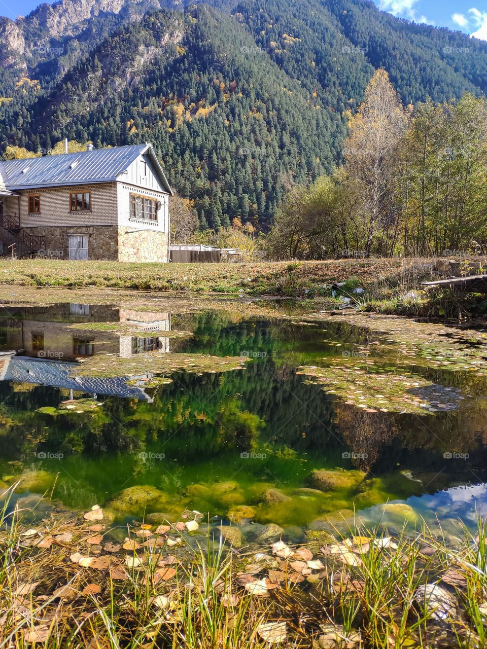 The house by the lake in the forest