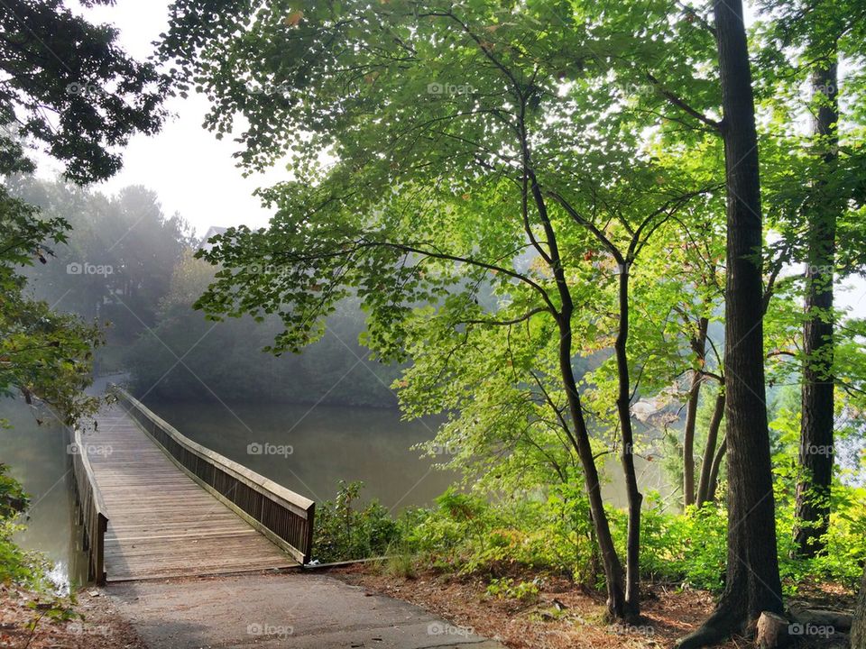 Running Trail