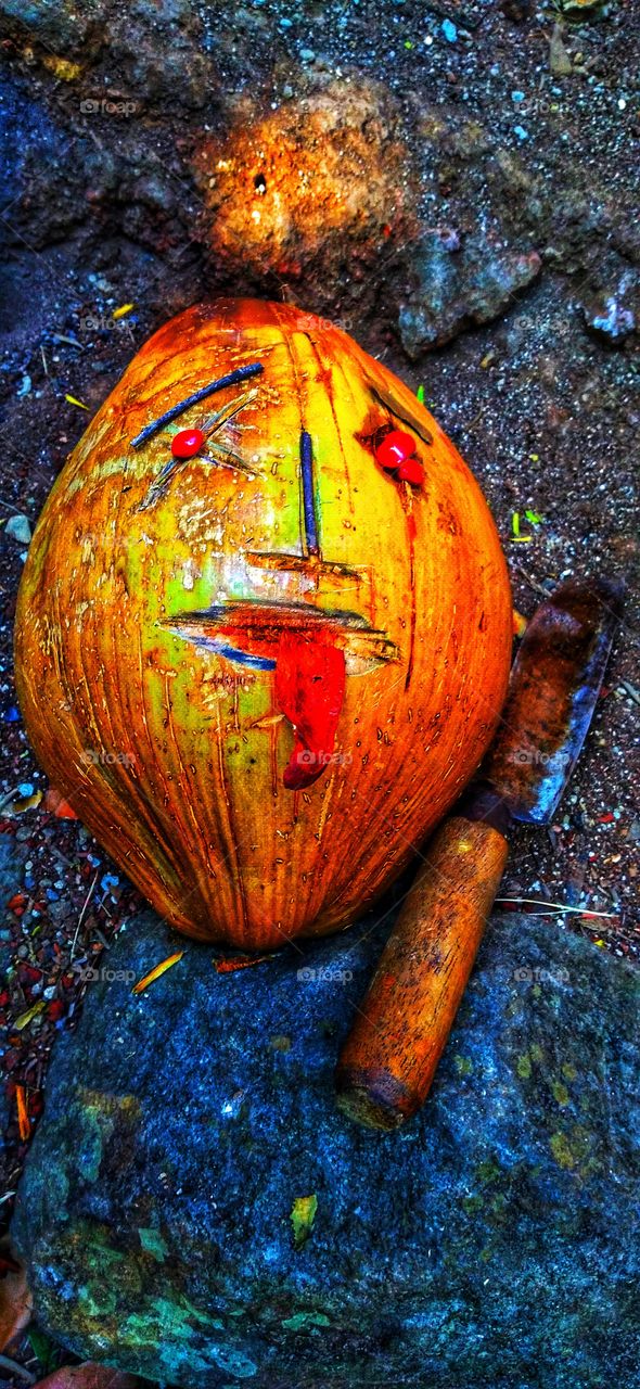 Coconut fruit with tongue garnish