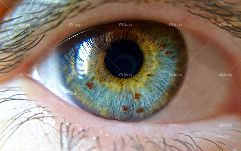 Macro shot of eye