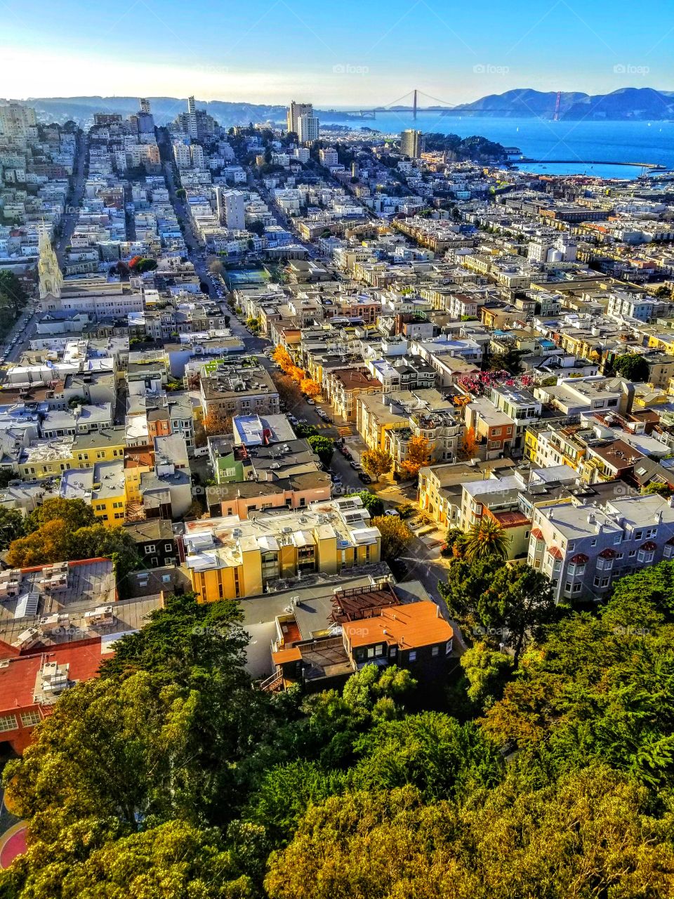 SAN FRANCESCO|california