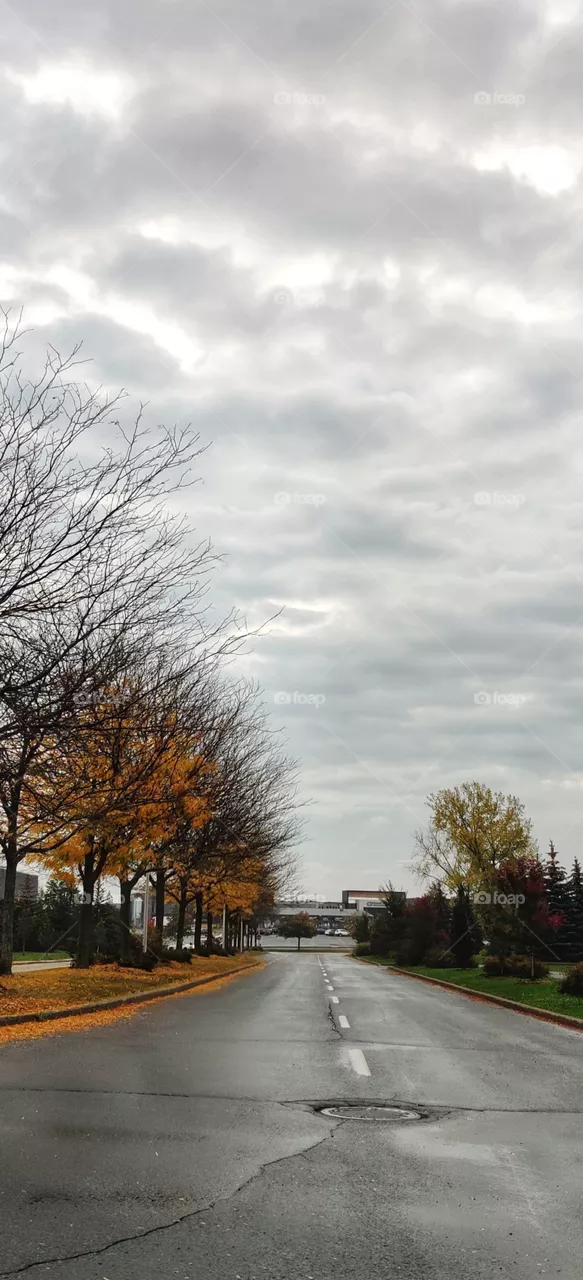 Autumn road