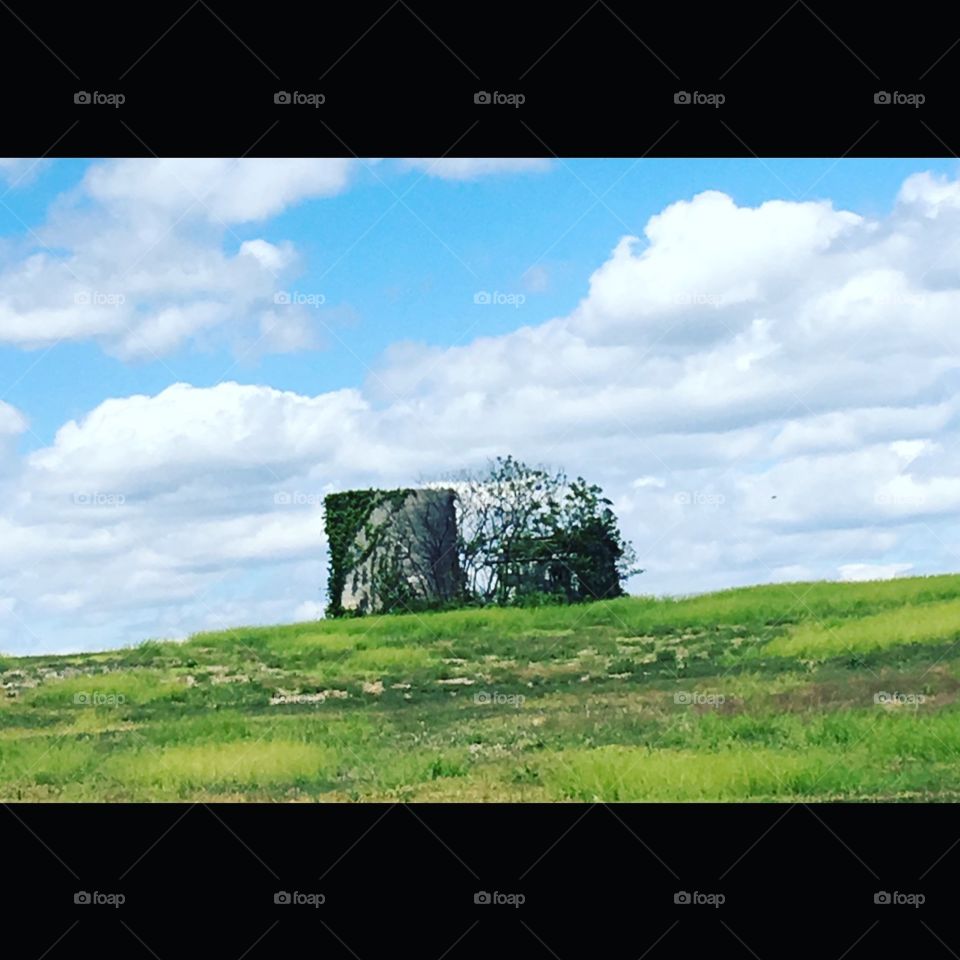 Farm land and summer time!