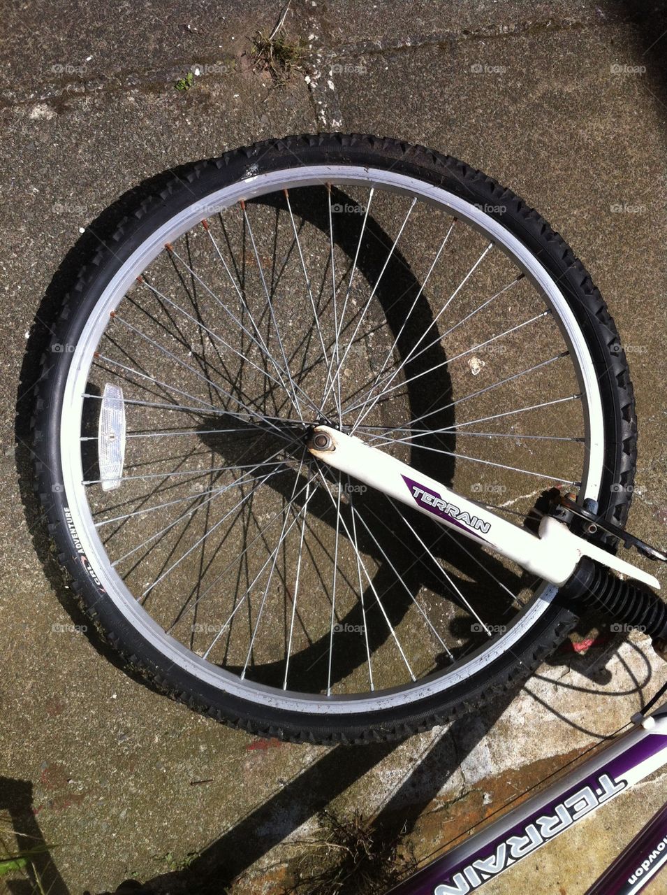 Bike Wheel. Bike wheel on a grey backdrop