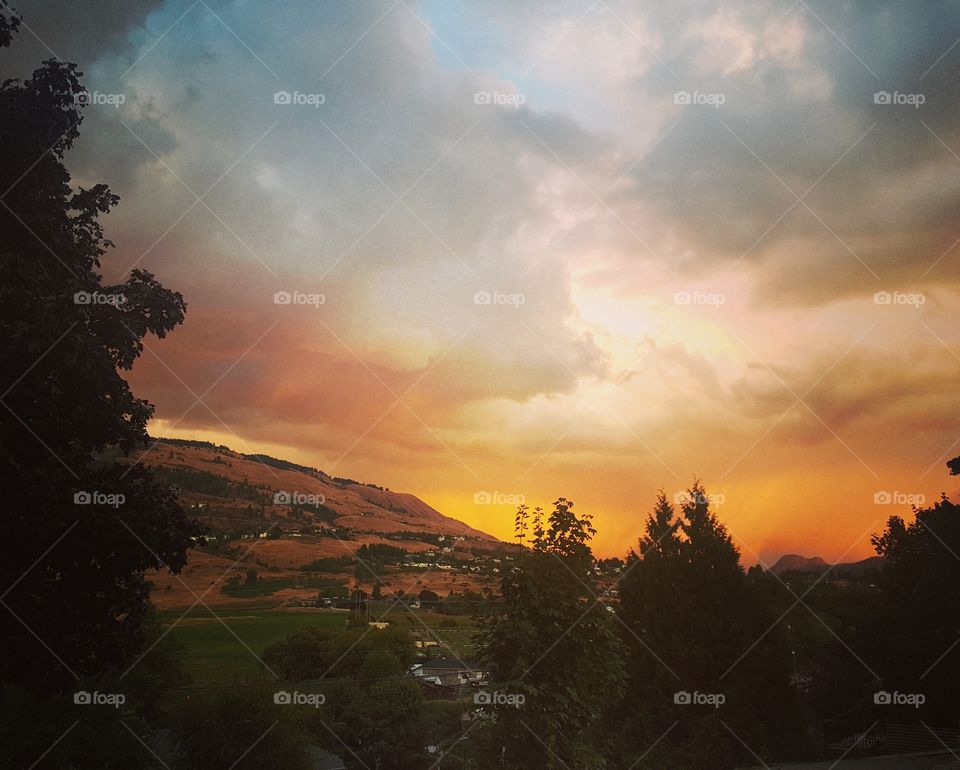 Beauty Is In The Eye Of The Beholder.