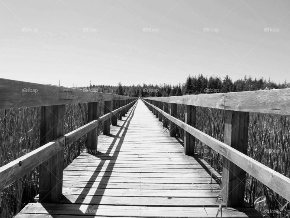 Wooden bridge