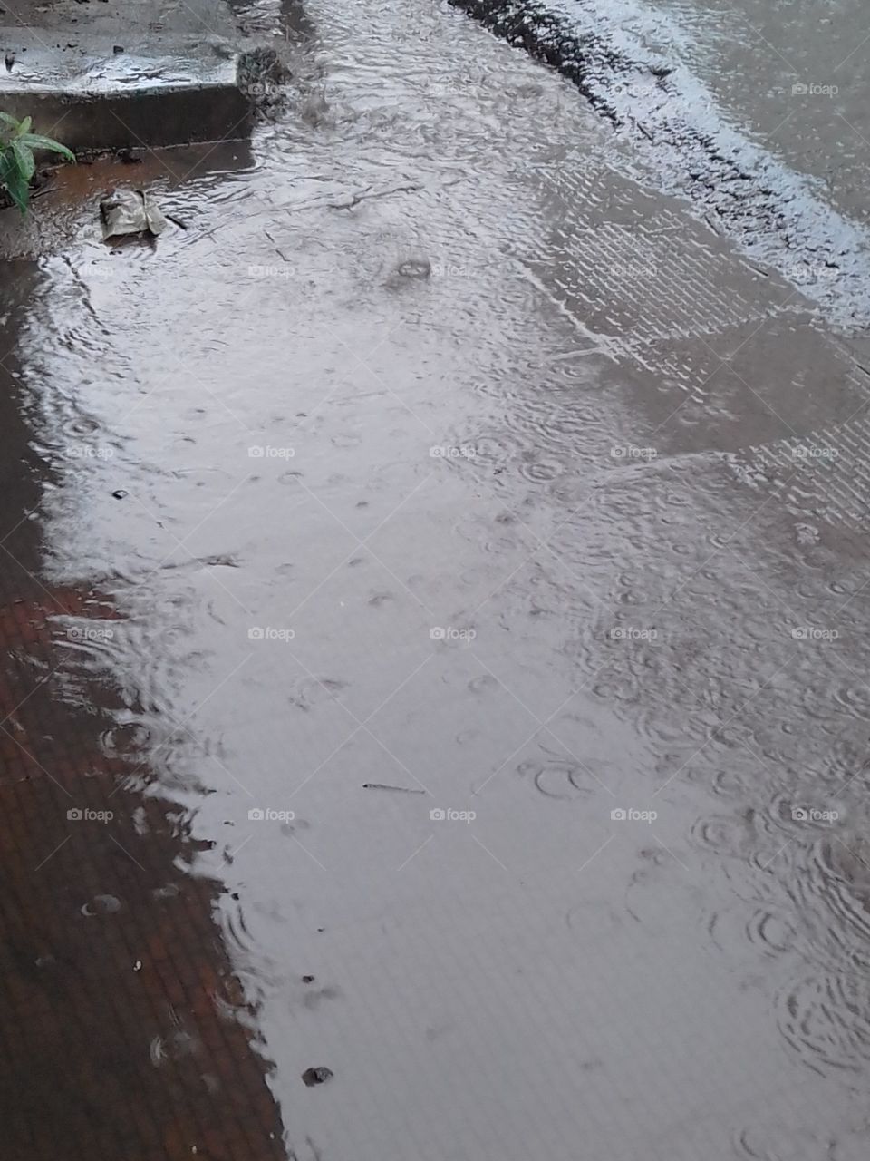 Raining ☔ ☔ ☔...