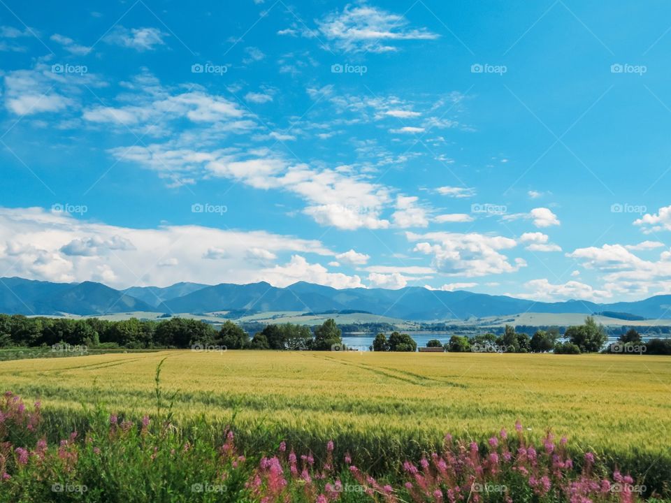 beautiful nature of Slovakia in summer