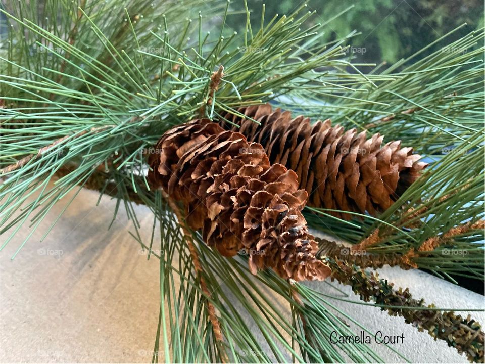 Pine cones in the decor at a hotel