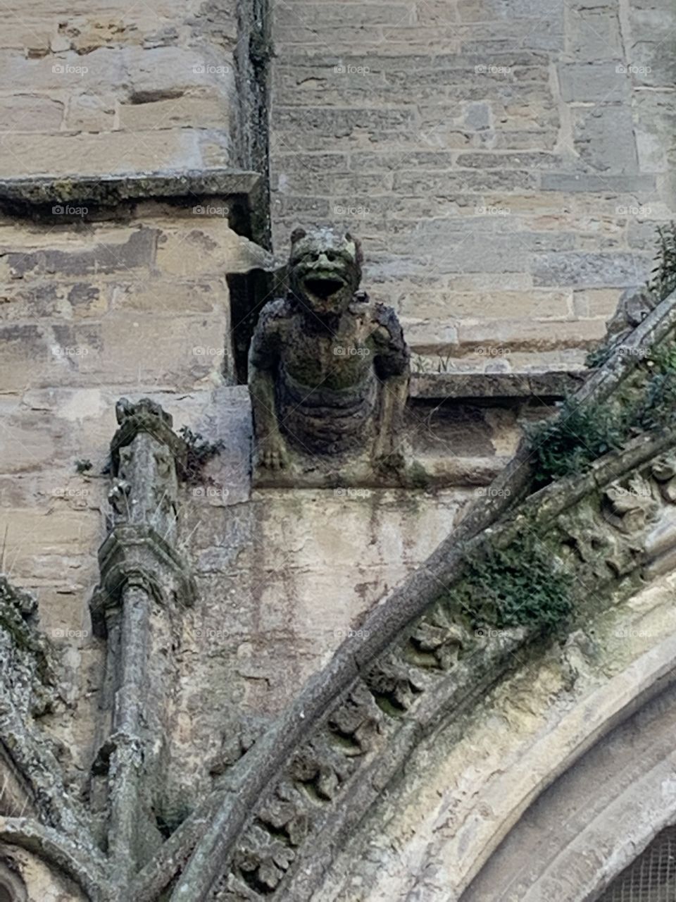 Gargoyles 