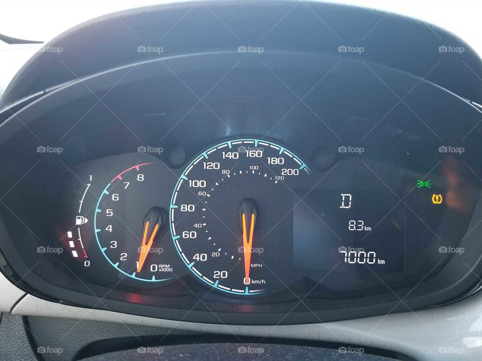 Dashboard Speedometer Odometer