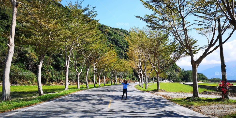 a beautiful road to a paradise that capture your eyes