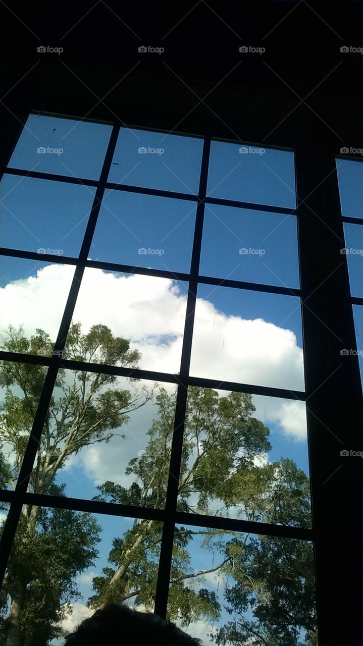 Sky Through the Window