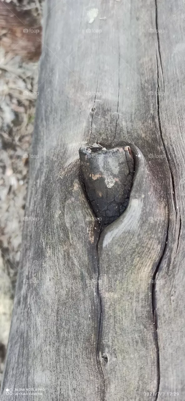 Nature Beauty#5