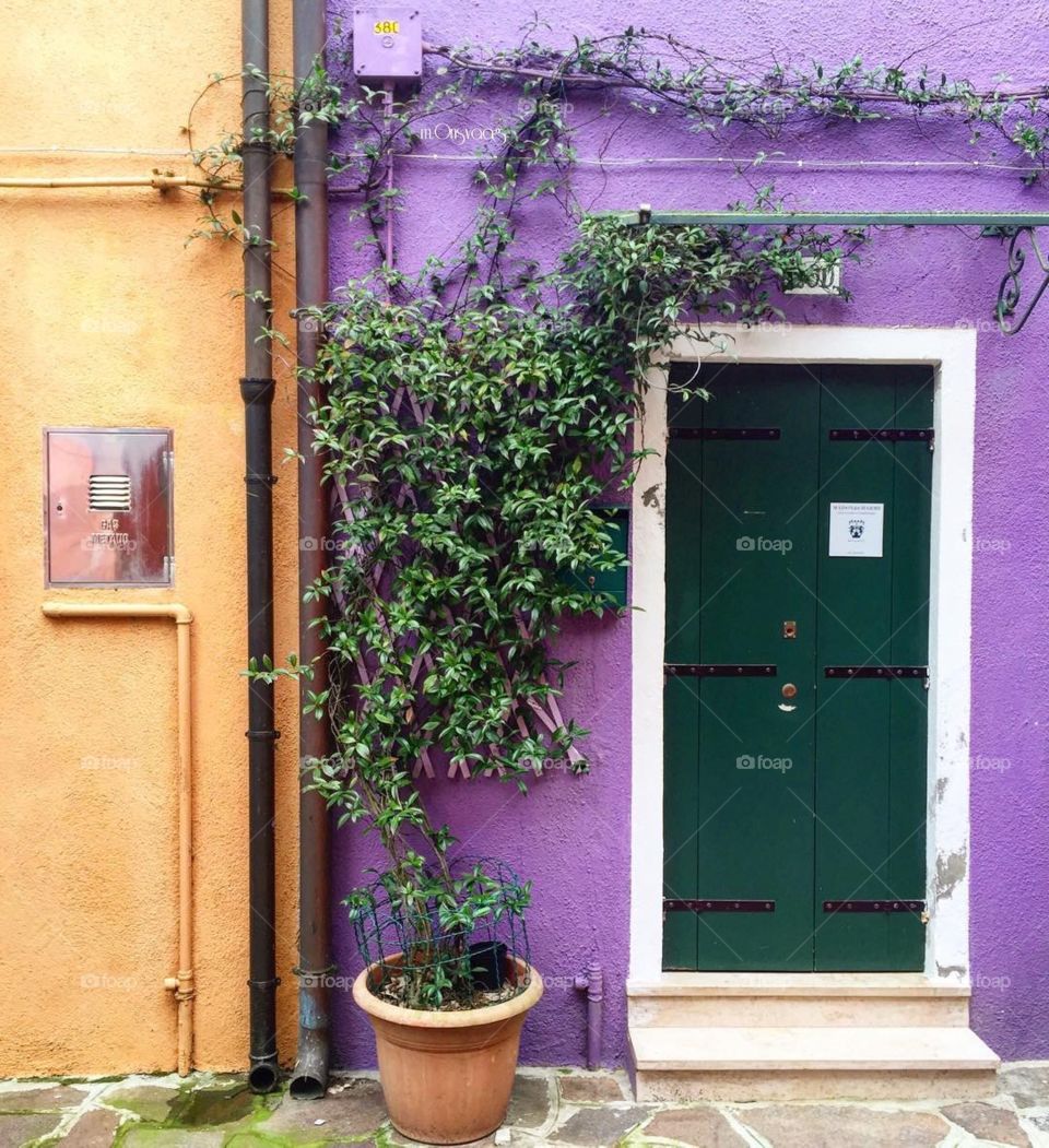 Colorful walls , wonderful doors 🚪 