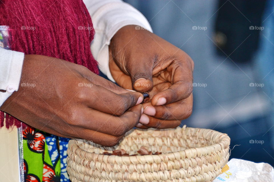 Person's hand holding cocoa beans