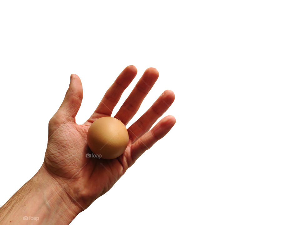 egg in hand