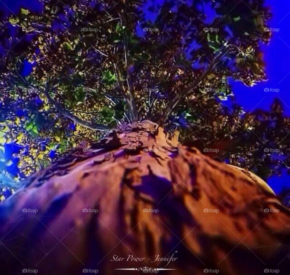 #freepeople #nature #crazy #controversy #colorful  #astrac #abstract #imagination  #lunatic #lunatico #loco #lunatic #texas 
#black #noforma #tree #treeporn #tree_captures #noise #texas #naturaleza #creation